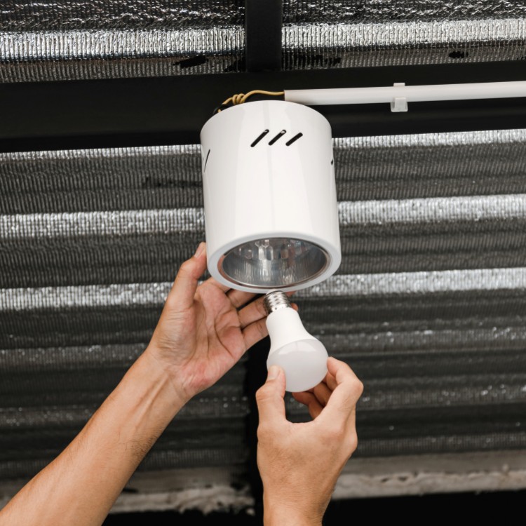 Residential Electrical Services in Gonzales, LA